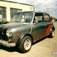 Austin-Morris mascot