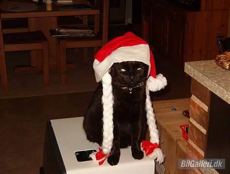 Opel Ascona billede 2