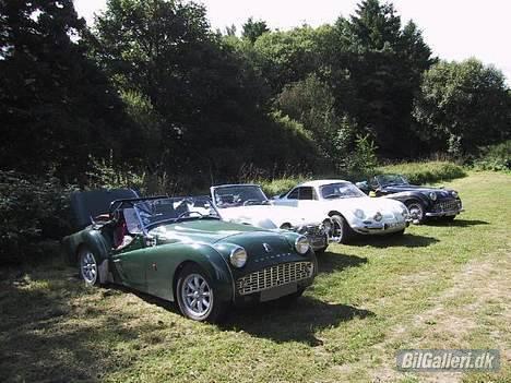 Renault FASA alpine a 110 billede 4