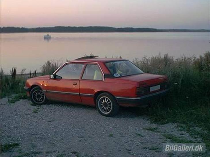 {{currentPhoto.altText}} billede {{currentPhoto.number}}