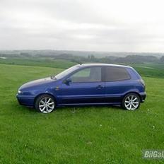 Fiat Bravo SOLGT!