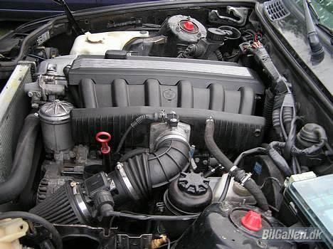 BMW 325i - Ja motoren fra den anden side billede 3