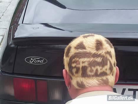 Ford sierra (død) billede 3