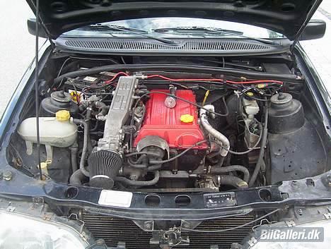 Ford sierra (død) billede 8