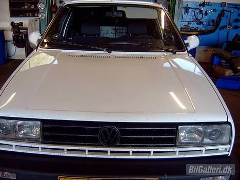 VW Golf 2 GTI        (SOLGT) - Nærbillede af flue/mygge-massegraven....! billede 5