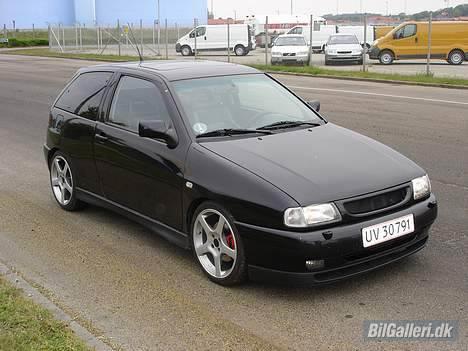 Seat Ibiza Cupra billede 1
