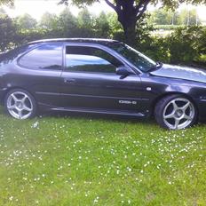 Toyota Corolla BlackTop (solgt)