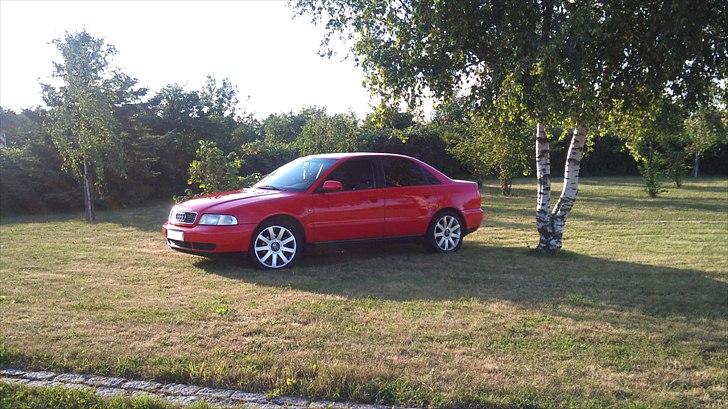 Audi A4 B5 Limo solgt billede 8