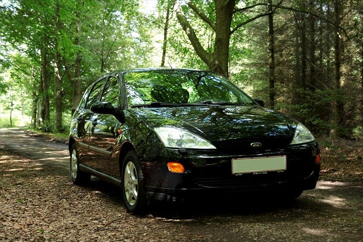 Ford Focus billede 1