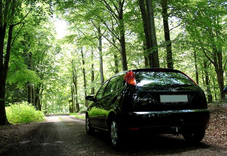 Ford Focus billede 3