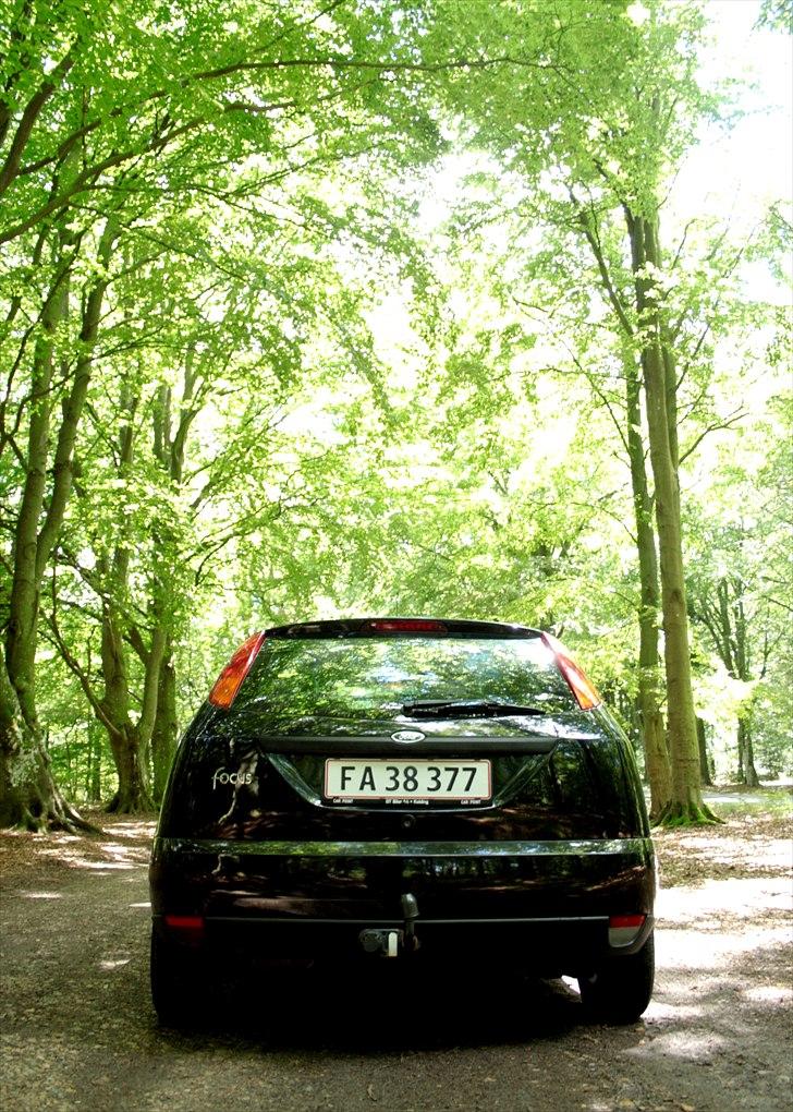 Ford Focus billede 4