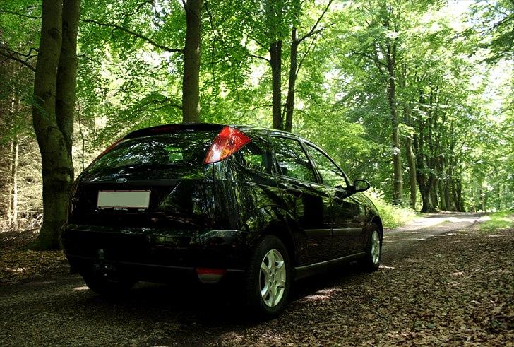 Ford Focus billede 5