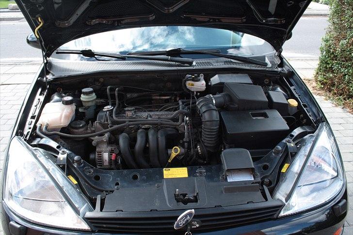 Ford Focus billede 10