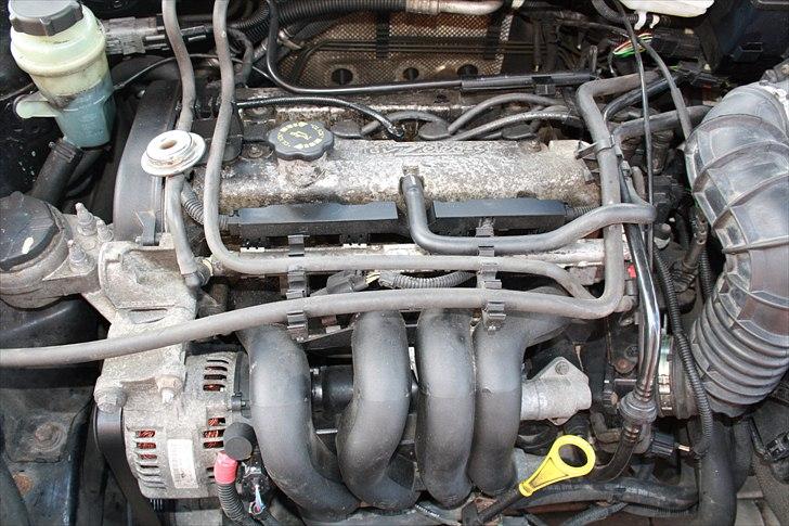 Ford Focus billede 11