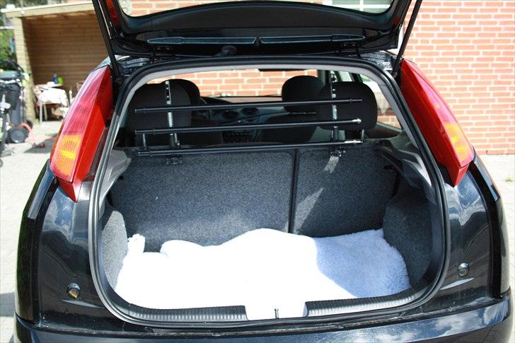 Ford Focus billede 13