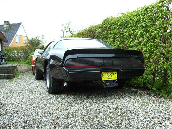 Pontiac Trans Am billede 3