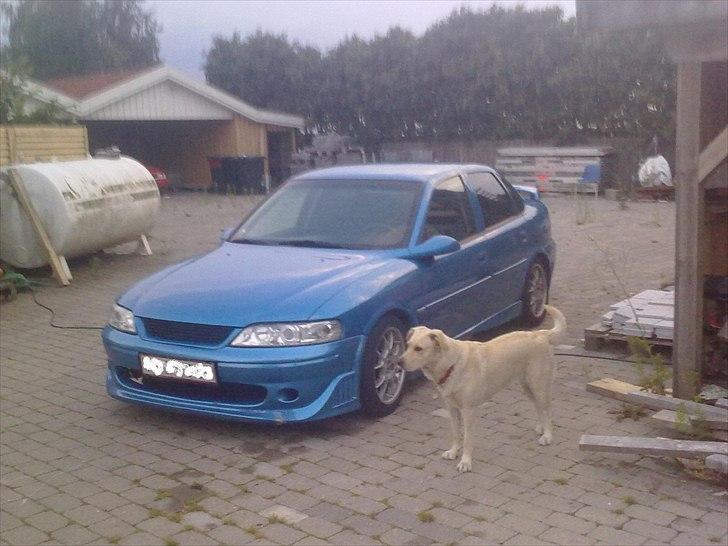 Opel VECTRA B billede 8