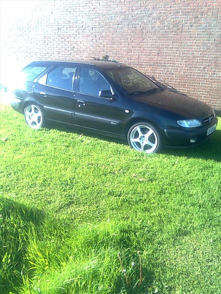 Citroën Xsara Limite SOLGT billede 1