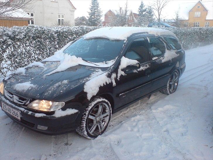 Citroën Xsara Limite SOLGT billede 3