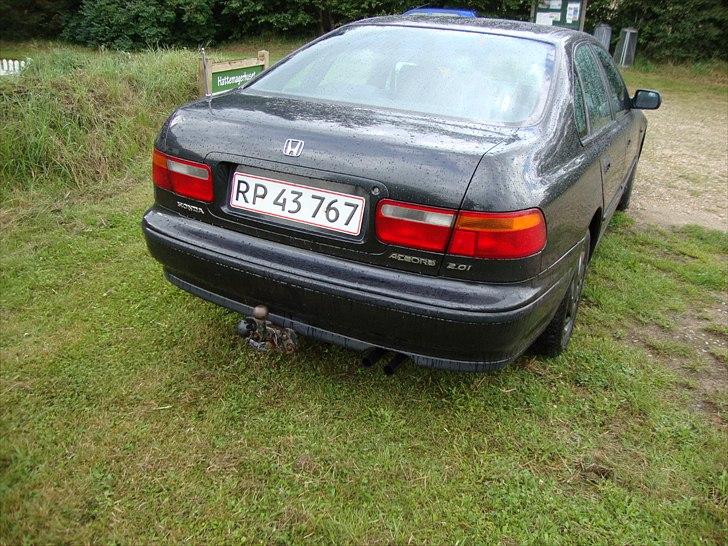 Honda Accord SOLGT billede 13