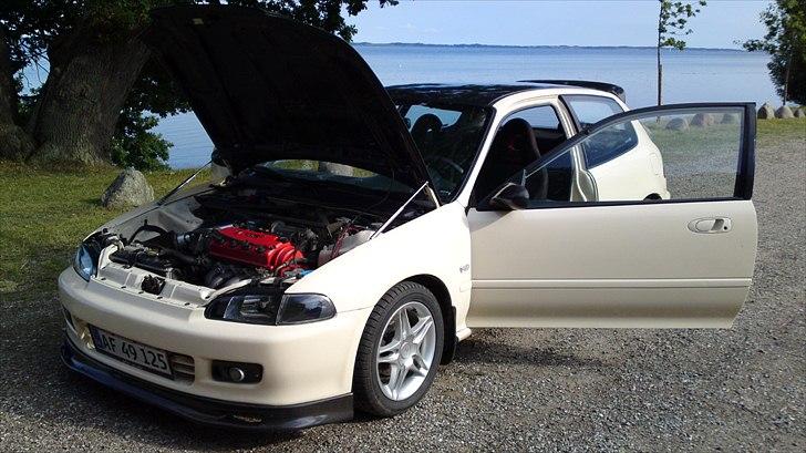 Honda Civic EG4 VTEC SOLGT billede 7