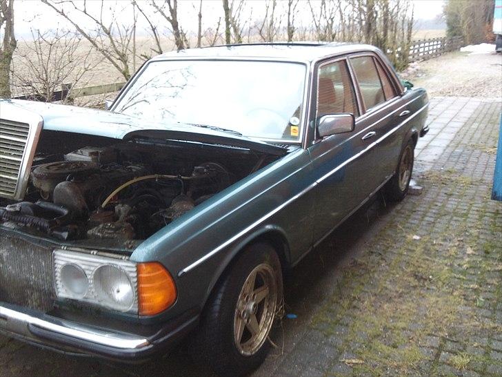 Mercedes Benz W123 300D PROJEKT billede 1