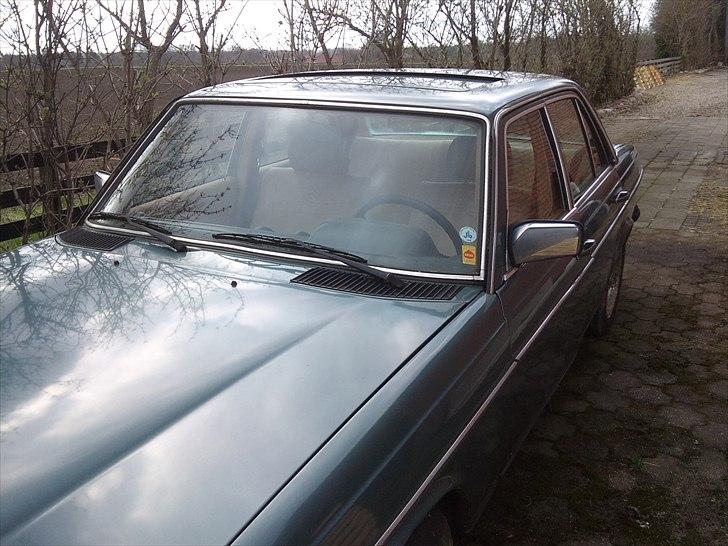 Mercedes Benz W123 300D PROJEKT billede 5