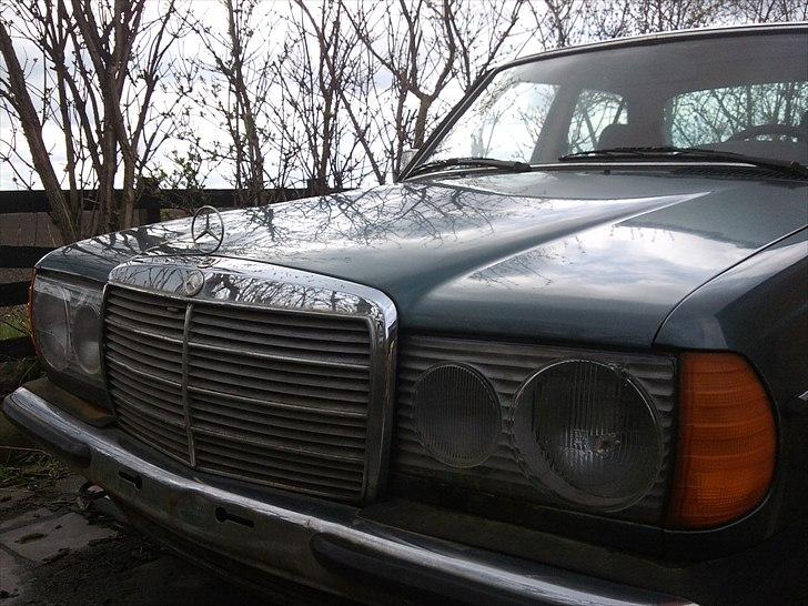 Mercedes Benz W123 300D PROJEKT billede 6