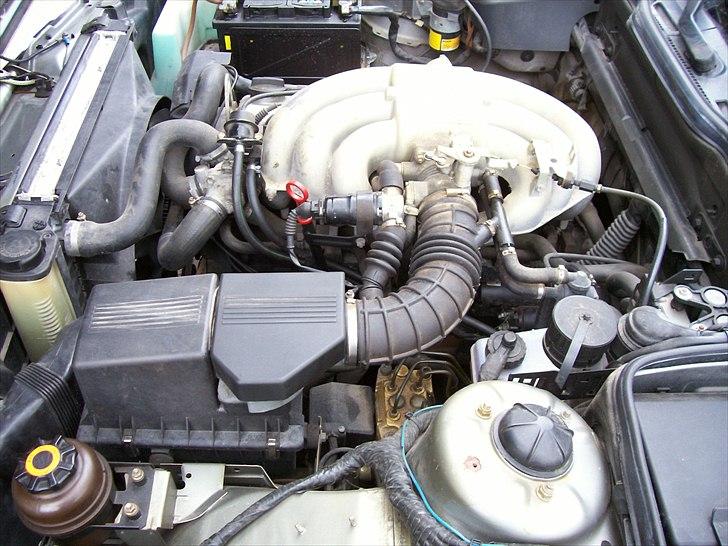 BMW 525i E34 - Det 6-cylindrede orgel... billede 7