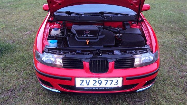 Seat Toledo (SOLGT) billede 6