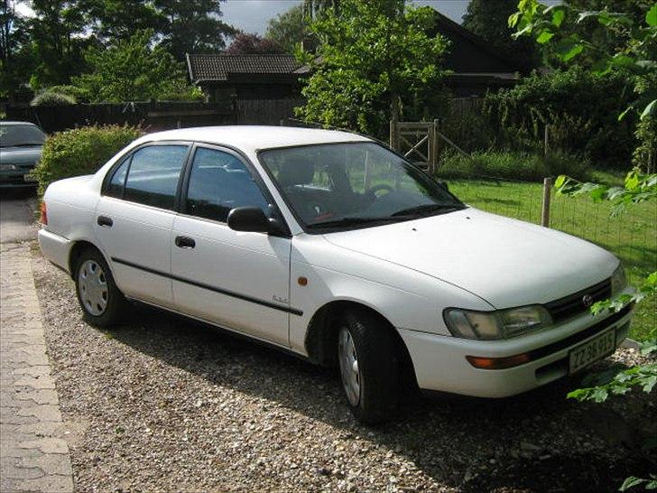 Toyota Corolla101XLi Sedan SOLGT billede 1