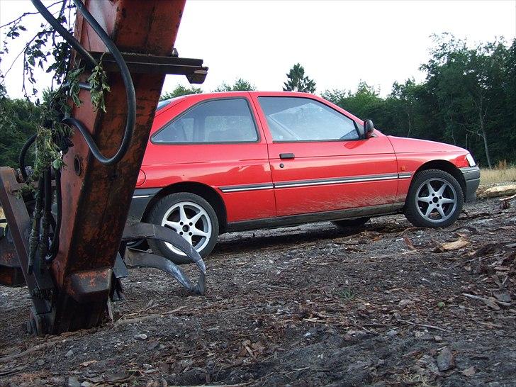Ford Escort " GRYDETUNING "DØD billede 5
