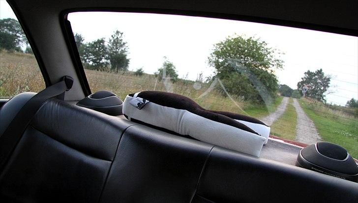 BMW E30 320i billede 6