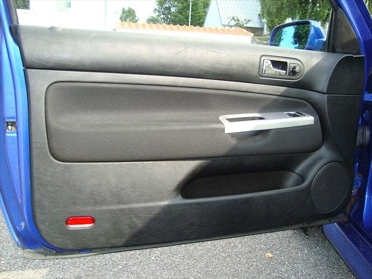 VW Golf IV GTi 1,9 TDi *SOLGT* - Dør - Højtaler plus alu. look ved håndtag billede 16