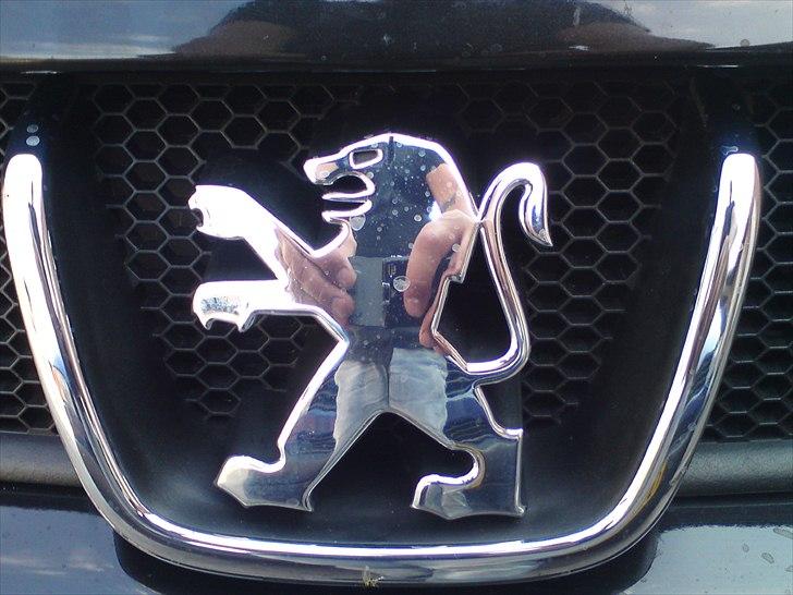 Peugeot 406 ts4 (solgt) billede 13