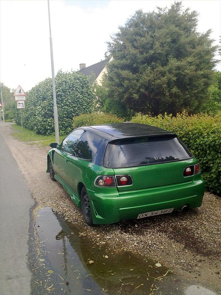 Honda Civic  billede 13