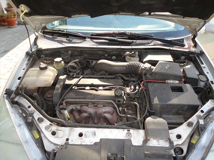Ford focus - før motorvask. billede 8