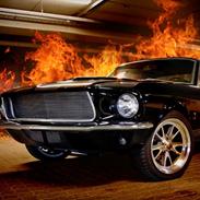 Ford Mustang *SOLGT*
