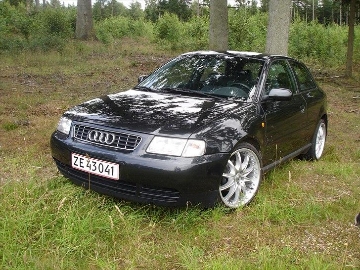 Audi A3 billede 8