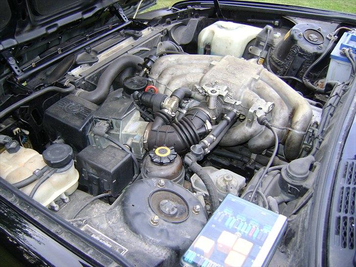 BMW e 30 cabriolet billede 7