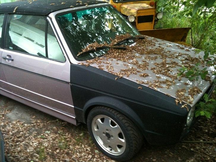 VW Golf Cab (solgt) - Golf´en som den så ud da jeg afhentede den billede 4