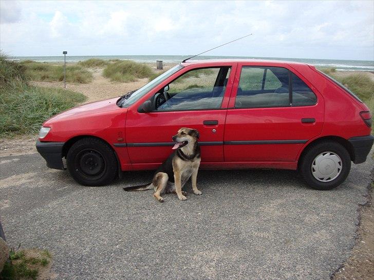 Peugeot 306 XLD solgt billede 16