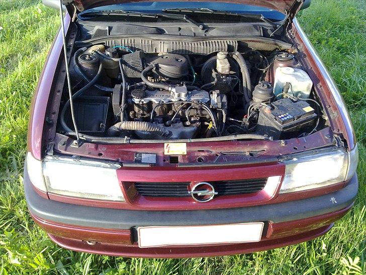 Opel Vectra A - Fundet!! billede 16