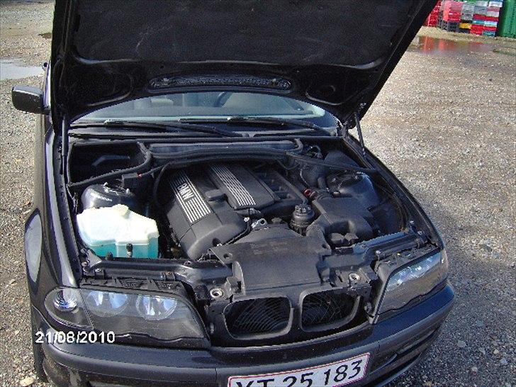 BMW E46 320i (SOLGT) billede 5