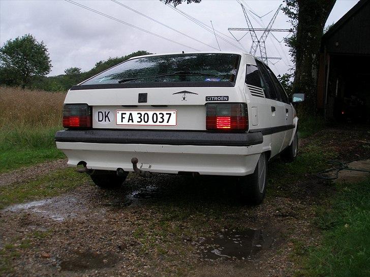 Citroën BX 19 TZD - Et flot og velholdt eksemplar - og et familiemedlem!  billede 2