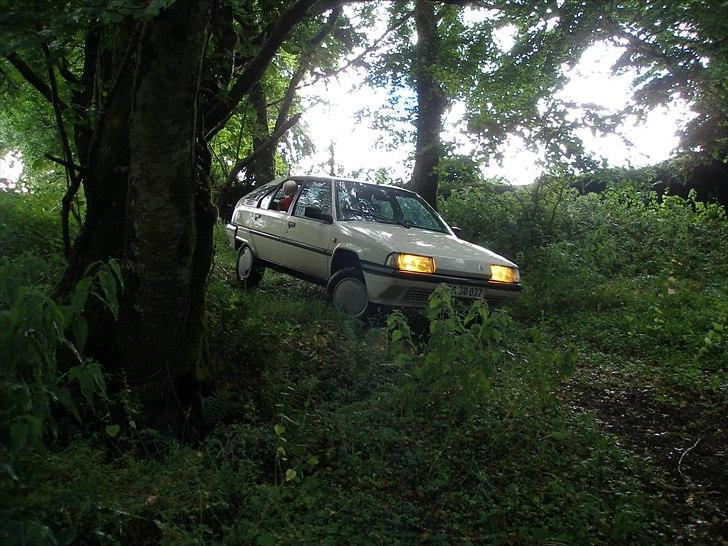 Citroën BX 19 TZD - Cluseau på afveje - fra Dartmoor i England, hvad de færreste nu om dage ved, er BXere faktisk glimrende terrænbiler, den hydrauliske undervogn kan reguleres i højden. Her er vi ude, hvor kun Land-Rovere ellers kommer... billede 5