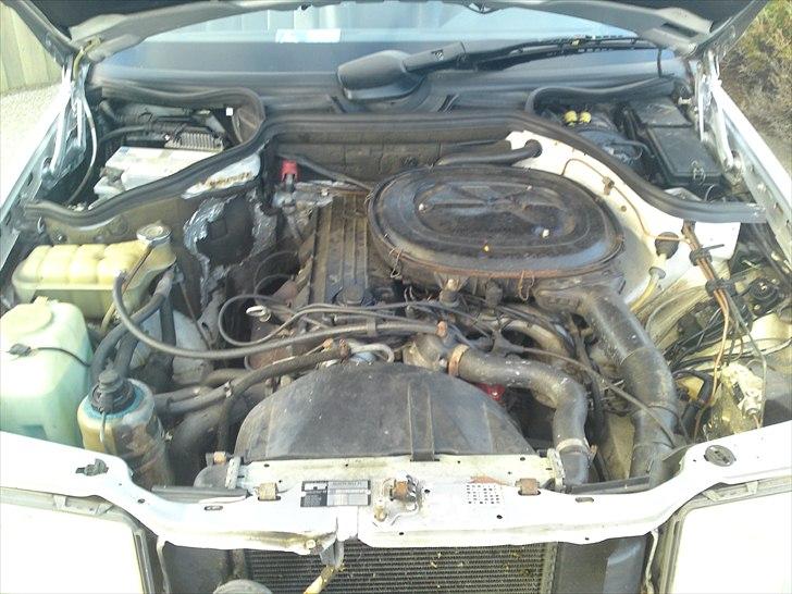 Mercedes Benz 124-230 TE billede 15