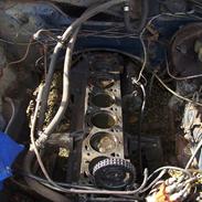 Opel kapitän (solgt)(DØD)