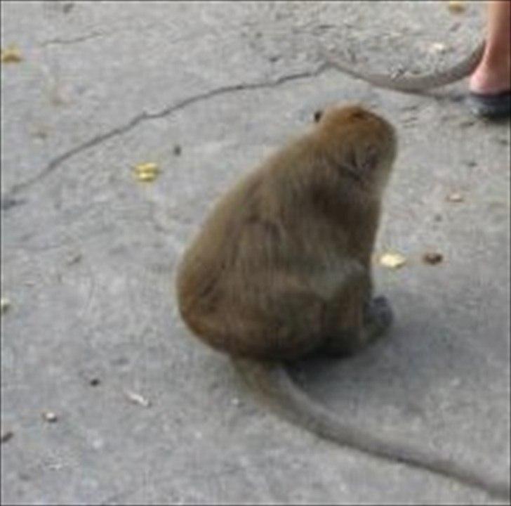 Mercedes Benz CLS 63 AMG(SOLGT) billede 5