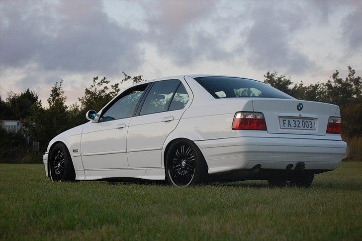 BMW E36  billede 4
